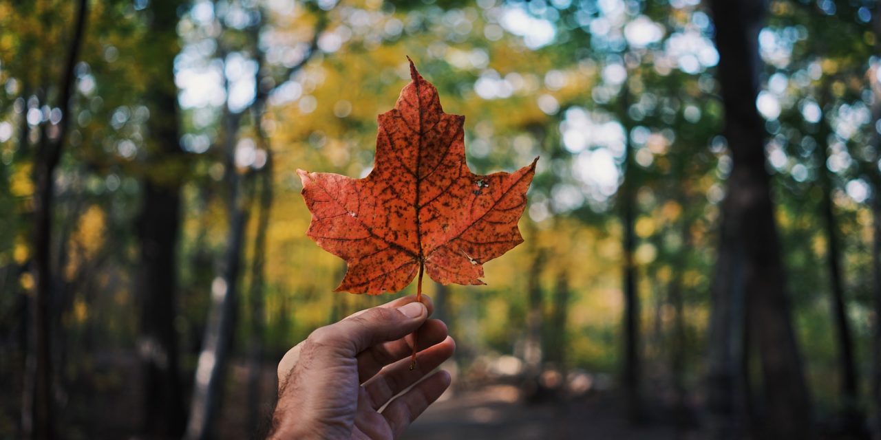 Un voyage au Canada