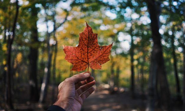 Un voyage au Canada